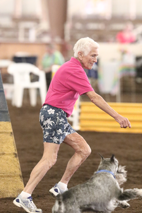 Dot Dobie is a 92 year old Agility competitor, and has been doing agility with standard schnauzers for over 60 years.